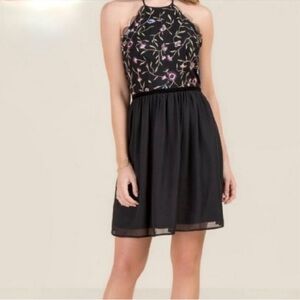 Francesca’s Black Embroidered Floral Mini Dress